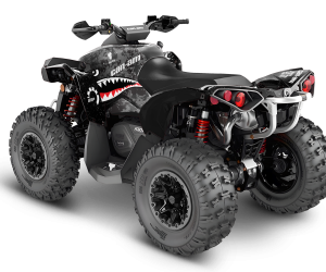CAN-AM Renegade Design 3