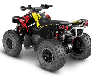 CAN-AM Renegade Design 4