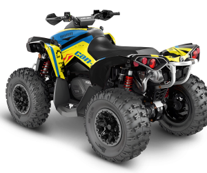 CAN-AM Renegade Design 2