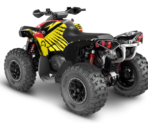 CAN-AM Renegade Design 6