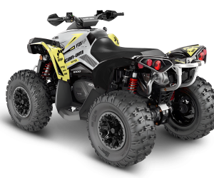 CAN-AM Renegade Design 1